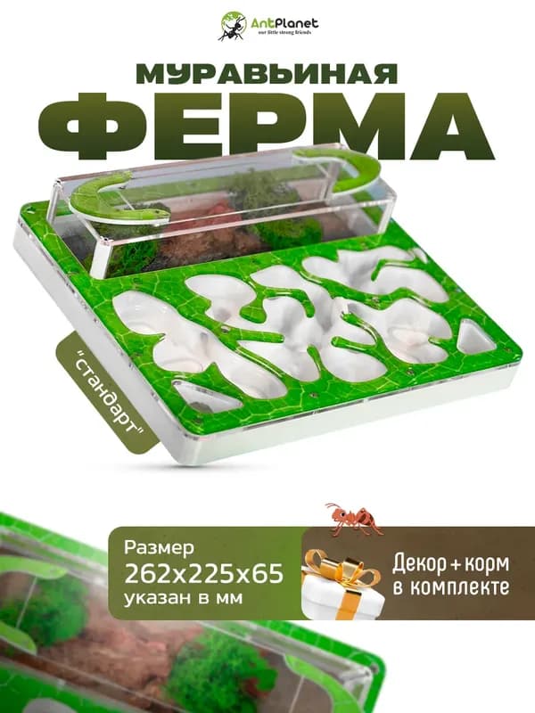 Муравьиная ферма AntPlanet Sand Pro