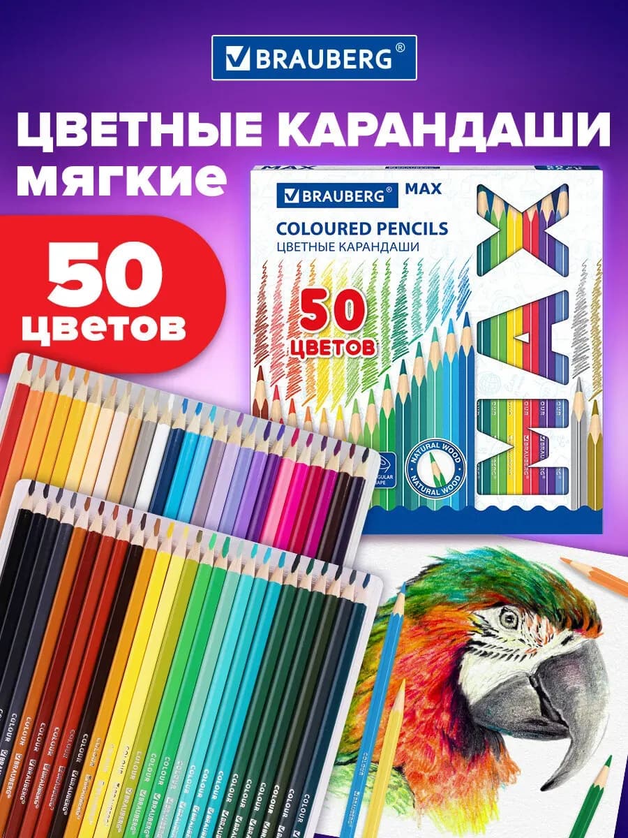 Цветные карандаши, 50 цветов